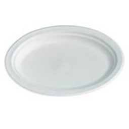 Oval Plate 10.25 x 7.5in