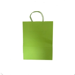 Green Carrier Bag 24 x 31